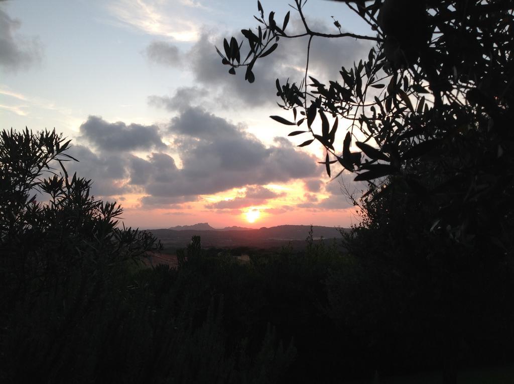 Villa Kuky Santa Teresa Gallura Buitenkant foto
